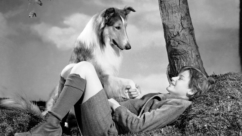 Lassie Come Home screenshot 6