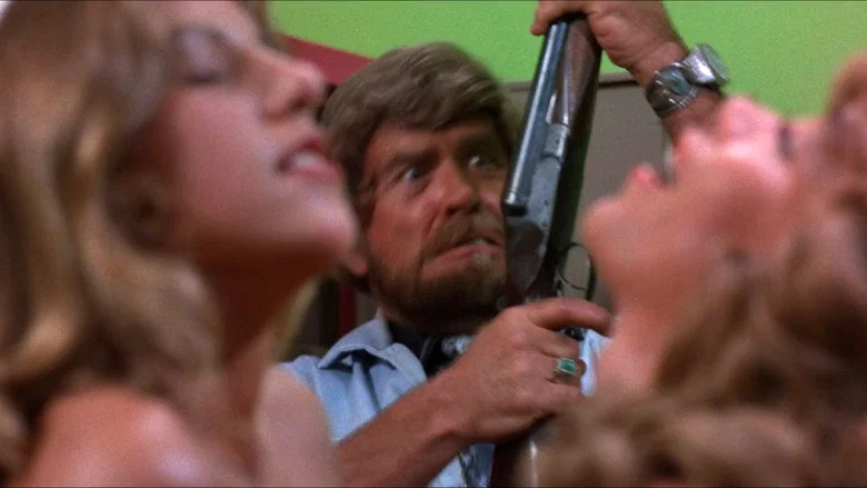 Beneath the Valley of the Ultra-Vixens screenshot 7