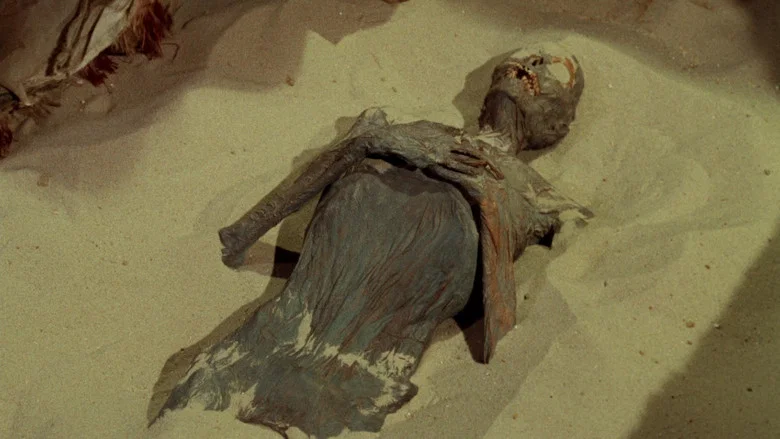 The Mummy's Shroud screenshot 7