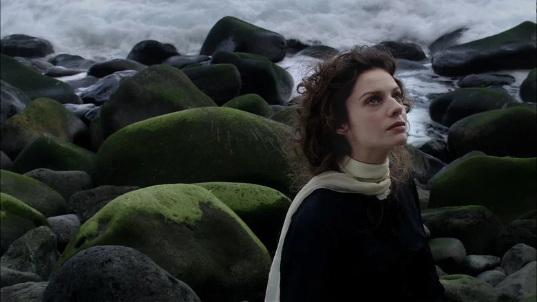 True and Tender is the North screenshot 1