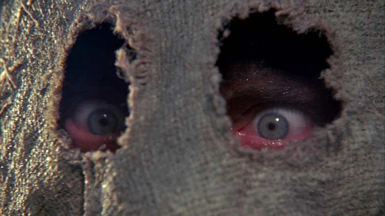 Dark Night of the Scarecrow screenshot 6