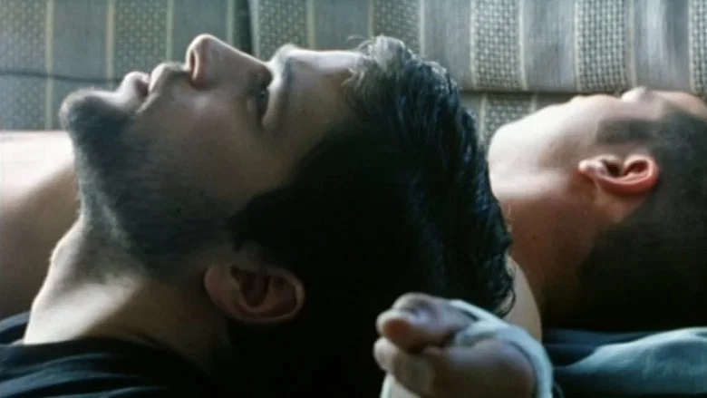 Kissing Tigers screenshot 1