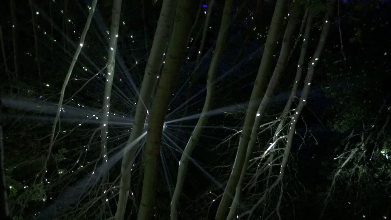 All Creatures Welcome screenshot 6