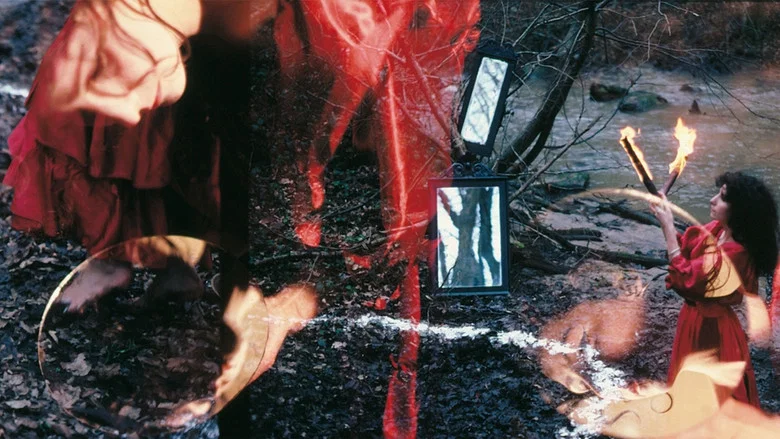 Selva. A Portrait of Parvaneh Navaï screenshot 1