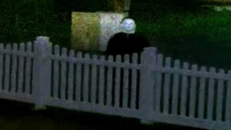 The Lost Footage of Michael Myers screenshot 1