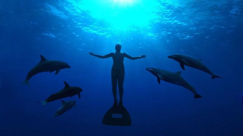 The Cove screenshot 2