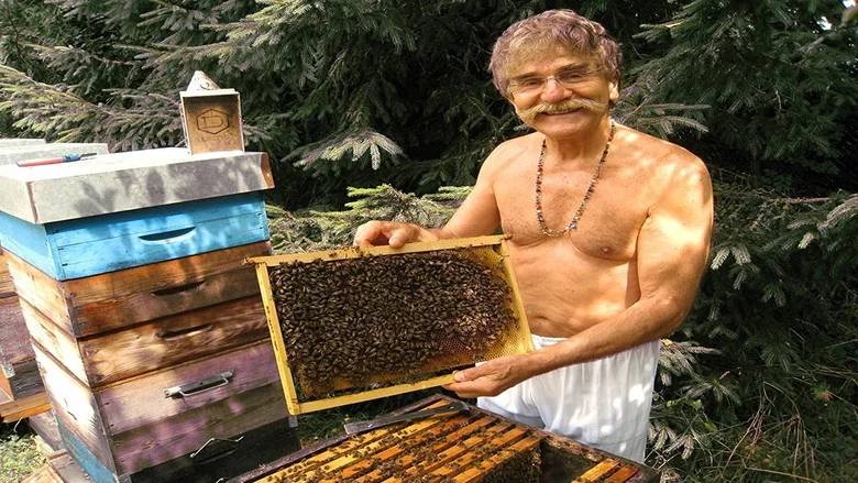 Queen of the Sun: What Are the Bees Telling Us? screenshot 3