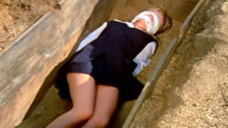 Ginger screenshot 2