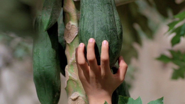 The Scent of Green Papaya screenshot 4
