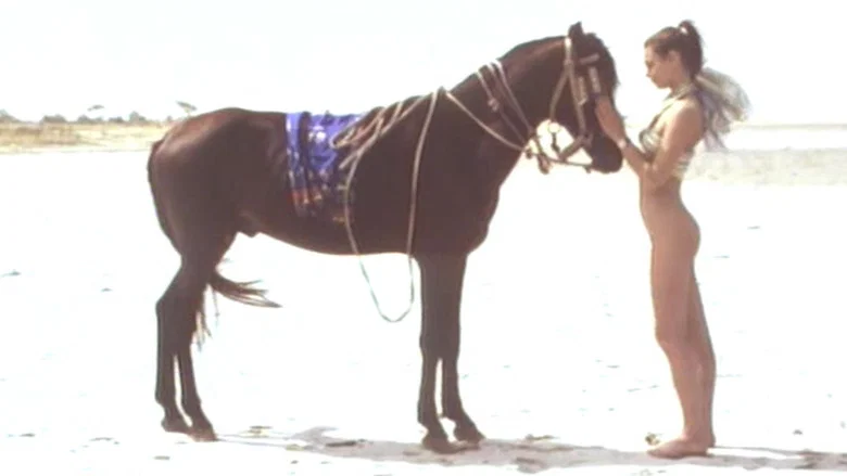 Joy in Africa screenshot 1