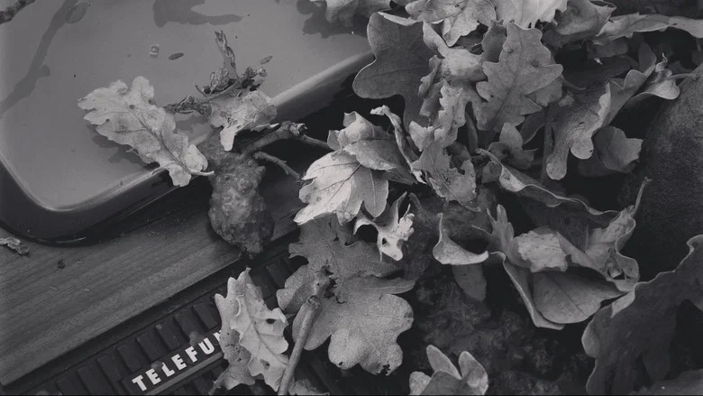 tVision screenshot 5