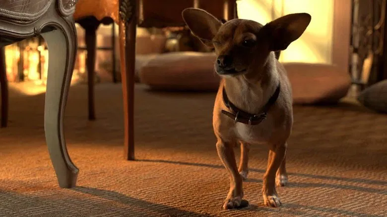 Beverly Hills Chihuahua 3: Viva la Fiesta! screenshot 1