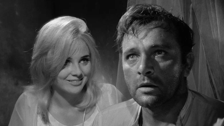 The Night of the Iguana screenshot 6