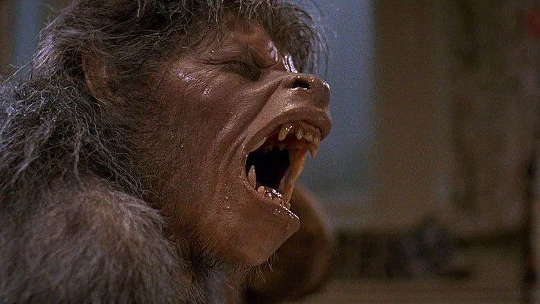 An American Werewolf in London screenshot 6