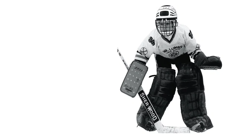 Hockey Night screenshot 2