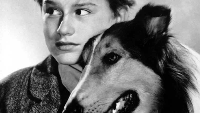 Lassie Come Home screenshot 7