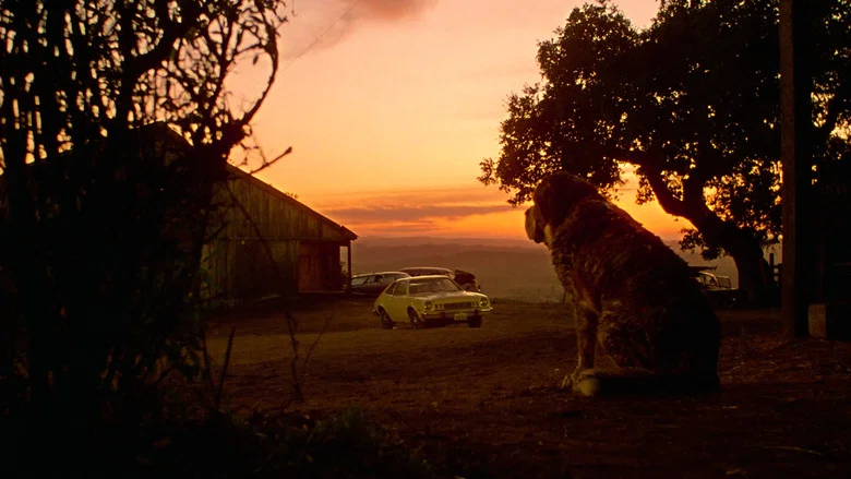 Cujo screenshot 5
