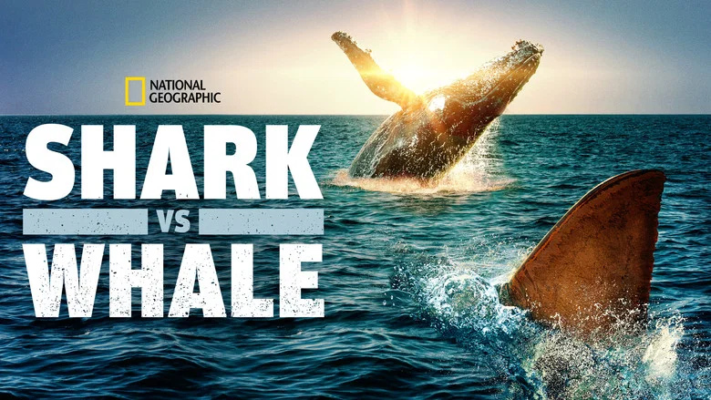 Shark Vs. Whale screenshot 5