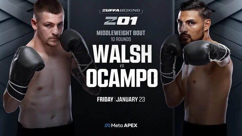 Zuffa Boxing 01 screenshot 4
