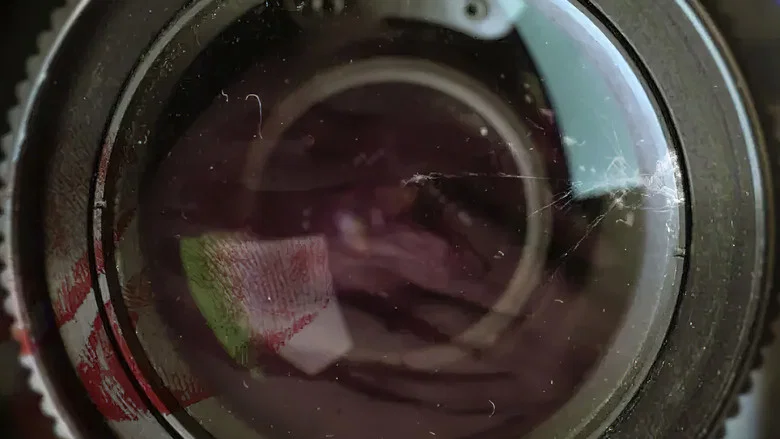 The Found Footage Phenomenon screenshot 2
