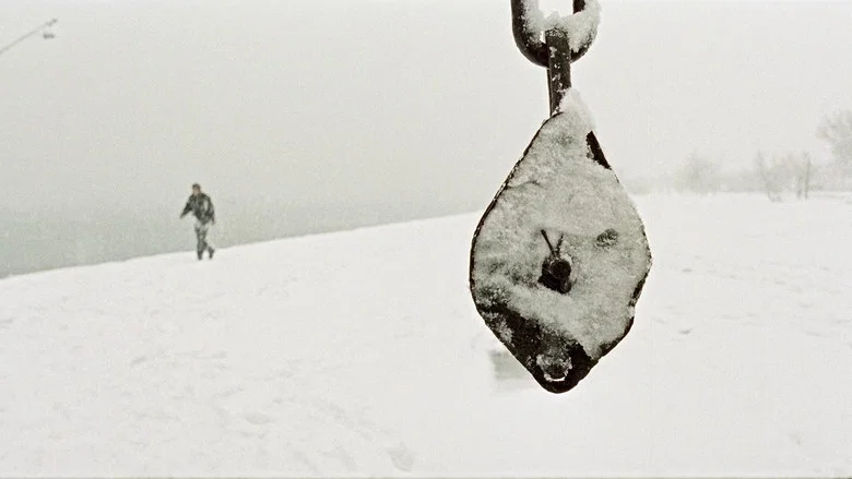 Distant screenshot 6