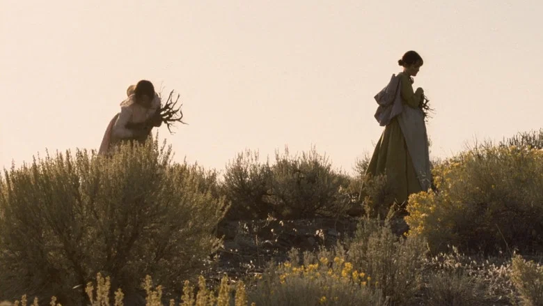 Meek's Cutoff screenshot 1