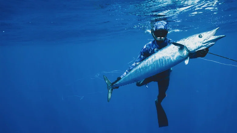 Shark vs. Tuna screenshot 6