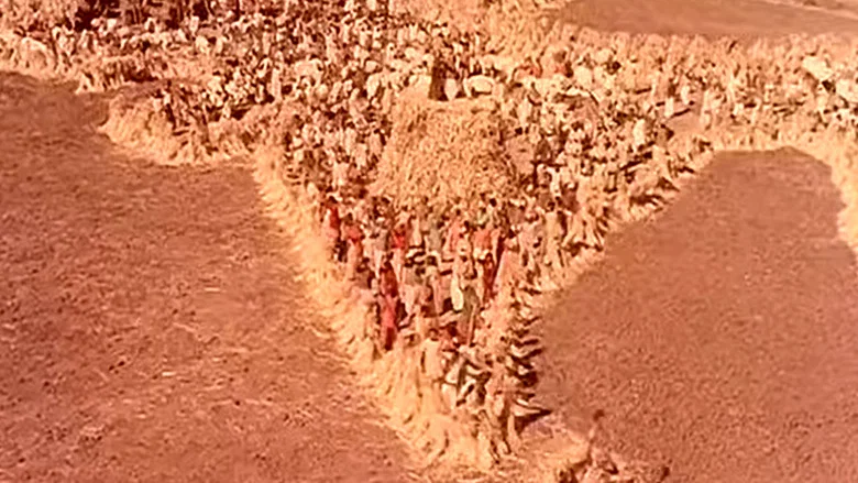 Mother India screenshot 8