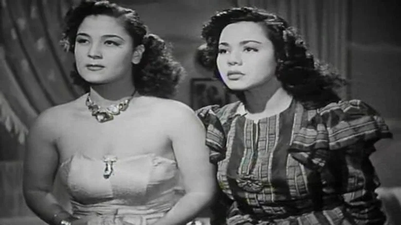 The Wedding Night screenshot 1