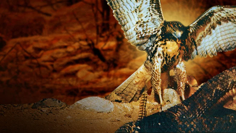The Living Desert screenshot 4
