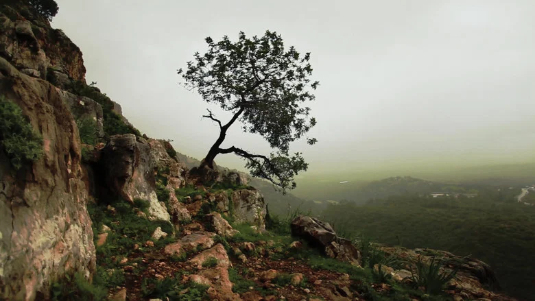 Is Mindfulness Right for You? screenshot 1