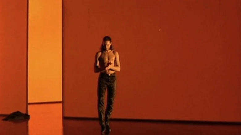 Flamenco screenshot 1