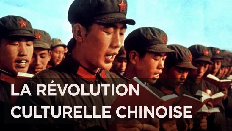 Ma révolution culturelle screenshot 1
