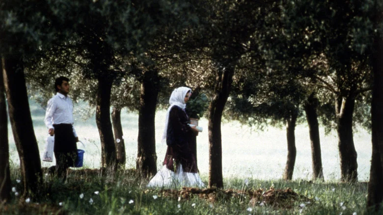 Through the Olive Trees screenshot 3