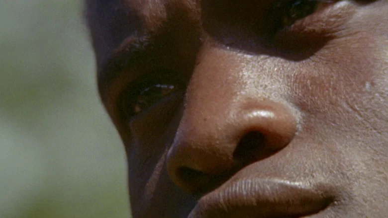 Africa Blood and Guts screenshot 4