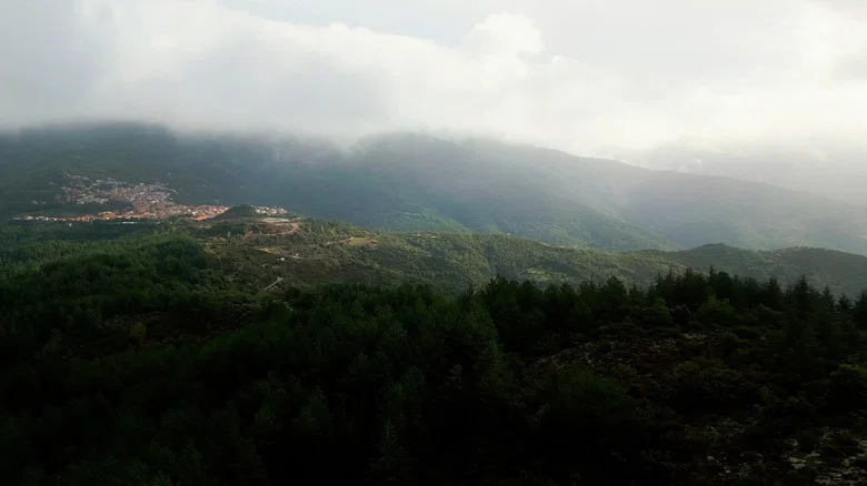 Sonaggios screenshot 3