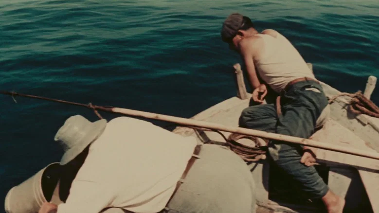 Sea Countrymen screenshot 3