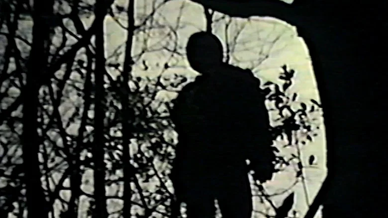 Channel 13 screenshot 7
