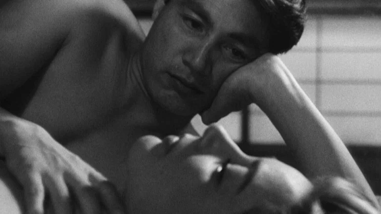 Hiroshima Mon Amour screenshot 4