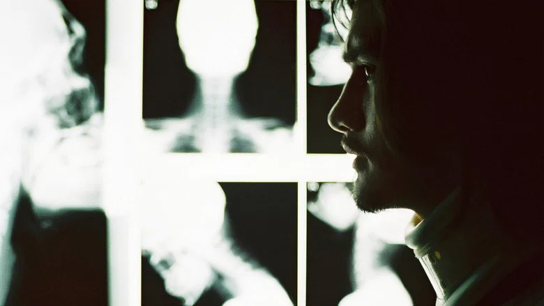 Shutter screenshot 5