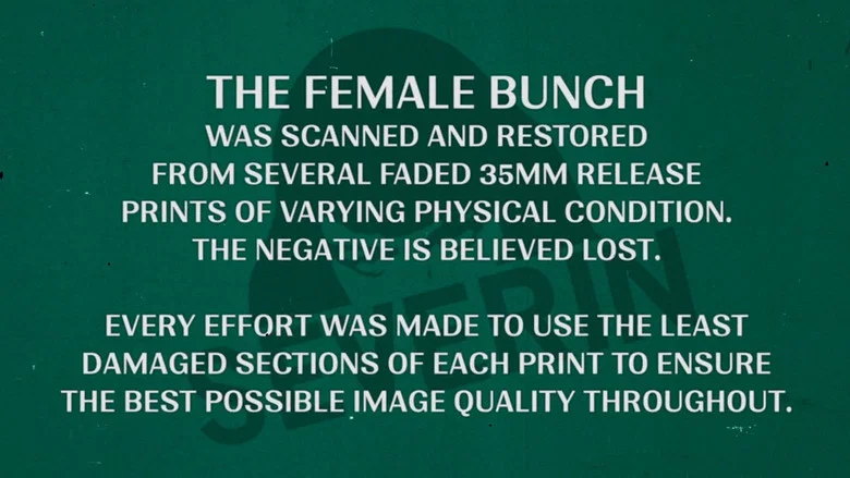 The Female Bunch screenshot 8