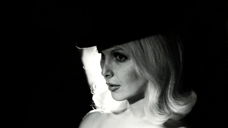 Bambi screenshot 4