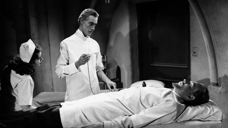 House of Dracula screenshot 5