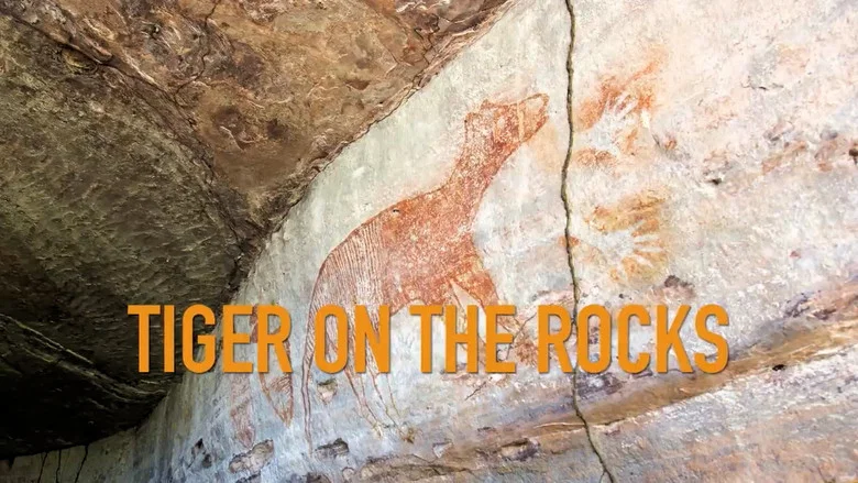 Tiger on the Rocks screenshot 1