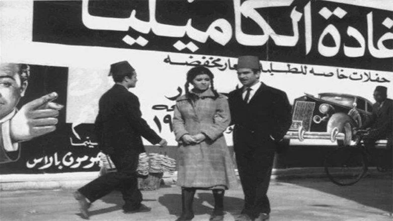 Cairo 30 screenshot 5