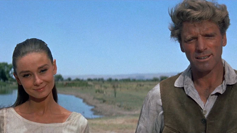 The Unforgiven screenshot 2