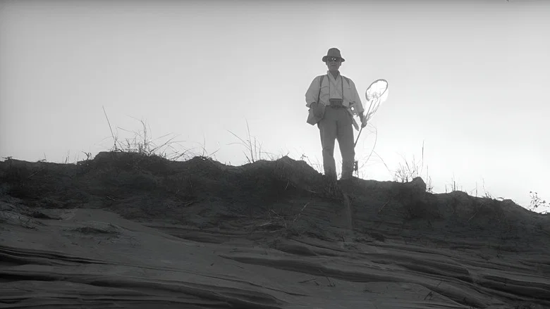 Woman in the Dunes screenshot 4