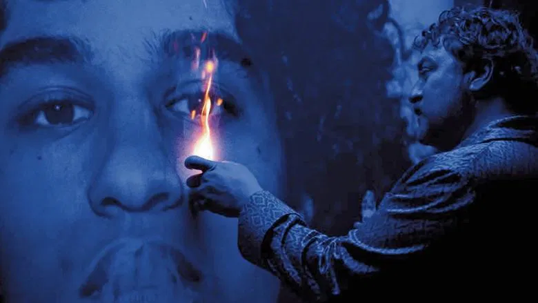 Peter von Kant screenshot 1