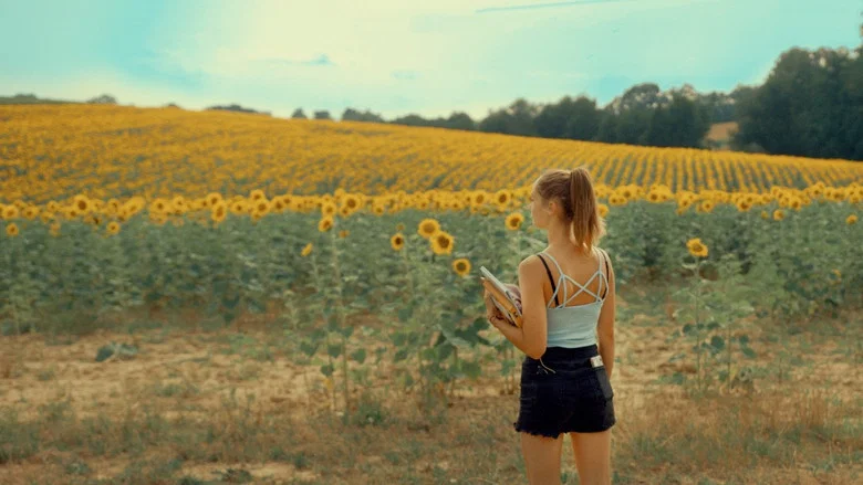 Se souvenir des tournesols screenshot 2