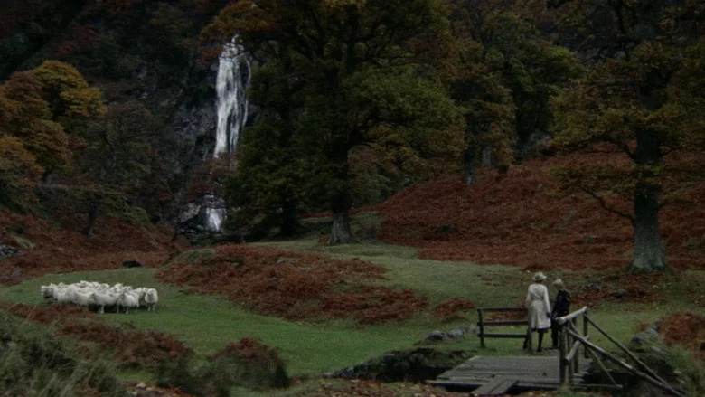 Images screenshot 4